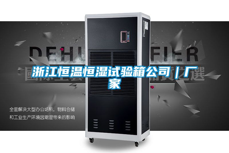 浙江恒温恒湿试验箱公司|厂家