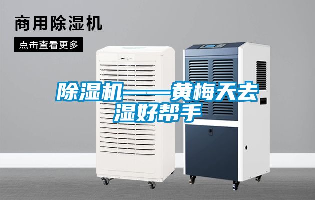 精品一区二区三区水蜜桃——黄梅天去湿好帮手