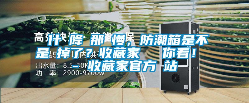 為什麼降濕那麼慢，防潮箱是不是壞掉了？收藏家實測給你看！ - 收藏家官方網站