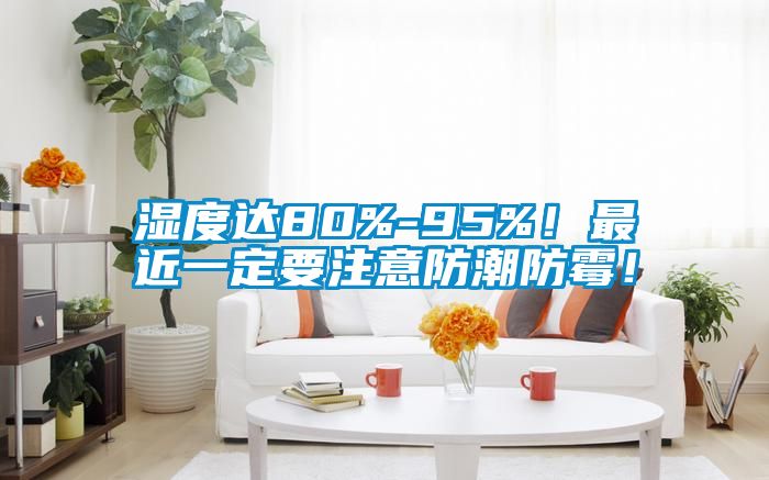 湿度达80%-95%！最近一定要注意防潮防霉！