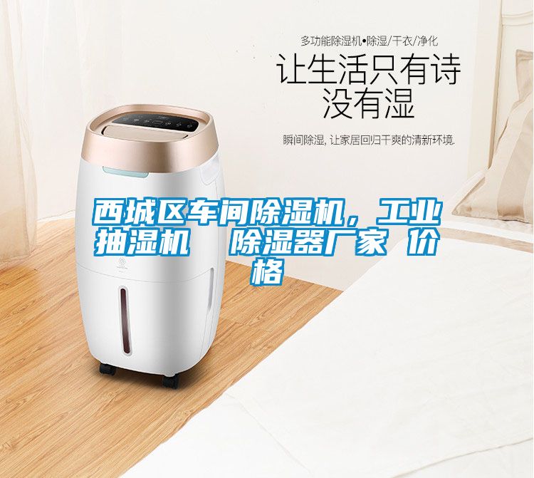 西城区车间精品一区二区三区水蜜桃，工业抽湿机  除湿器厂家 价格