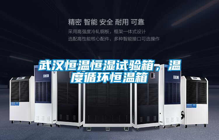 武汉恒温恒湿试验箱，温度循环恒温箱