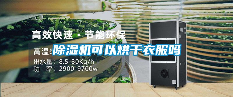 精品一区二区三区水蜜桃可以烘干衣服吗