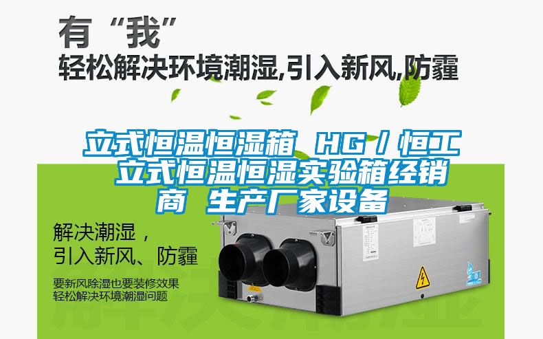 立式恒温恒湿箱 HG/恒工 立式恒温恒湿实验箱经销商 生产厂家设备