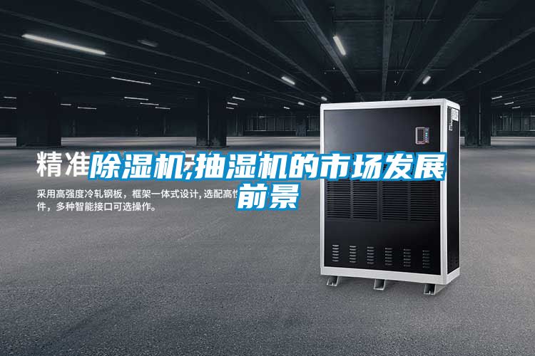 精品一区二区三区水蜜桃,抽湿机的市场发展前景