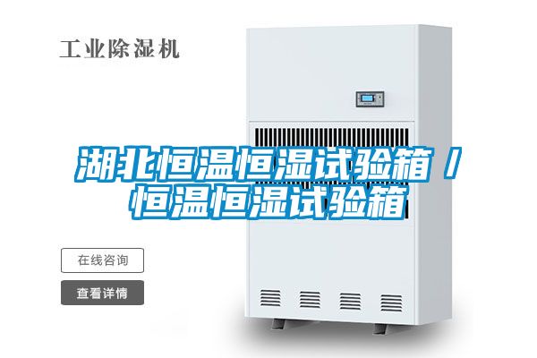 湖北恒温恒湿试验箱/恒温恒湿试验箱