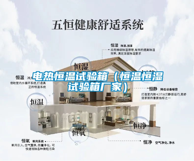 电热恒温试验箱(恒温恒湿试验箱厂家)