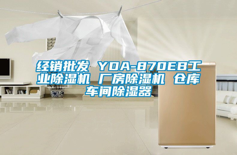 经销批发 YDA-870EB工业精品一区二区三区水蜜桃 厂房精品一区二区三区水蜜桃 仓库车间除湿器
