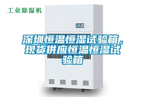 深圳恒温恒湿试验箱，现货供应恒温恒湿试验箱