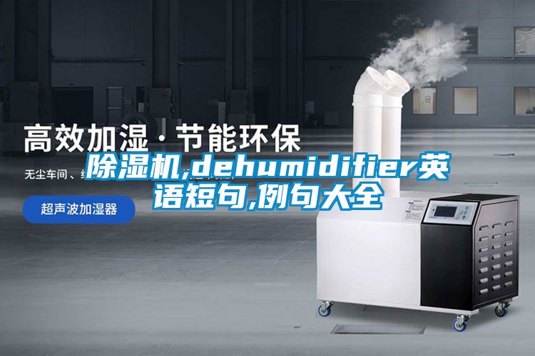 精品一区二区三区水蜜桃,dehumidifier英语短句,例句大全