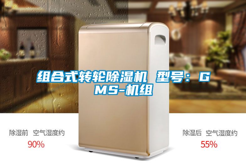 组合式转轮精品一区二区三区水蜜桃 型号：GMS-机组