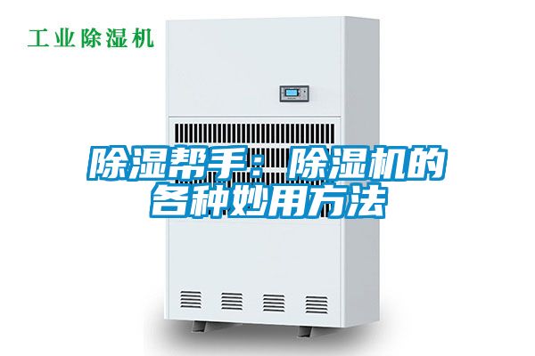 除湿帮手：精品一区二区三区水蜜桃的各种妙用方法