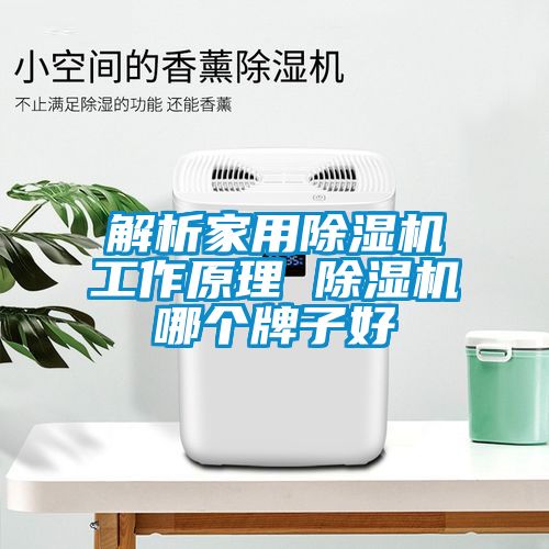 解析家用精品一区二区三区水蜜桃工作原理 精品一区二区三区水蜜桃哪个牌子好