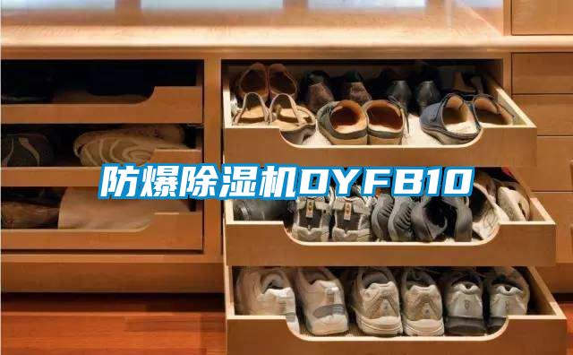 防爆精品一区二区三区水蜜桃DYFB10