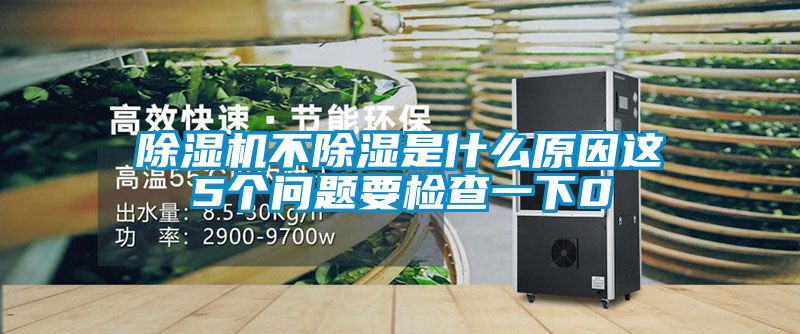 精品一区二区三区水蜜桃不除湿是什么原因这5个问题要检查一下0