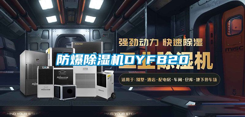 防爆精品一区二区三区水蜜桃DYFB20
