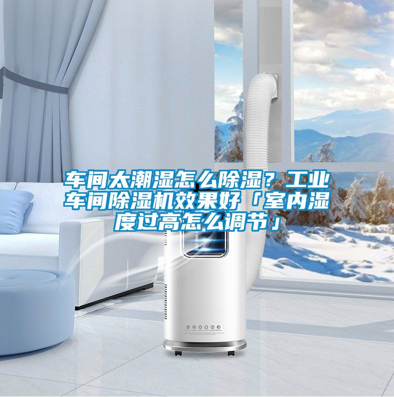 车间太潮湿怎么除湿？工业车间精品一区二区三区水蜜桃效果好「室内湿度过高怎么调节」