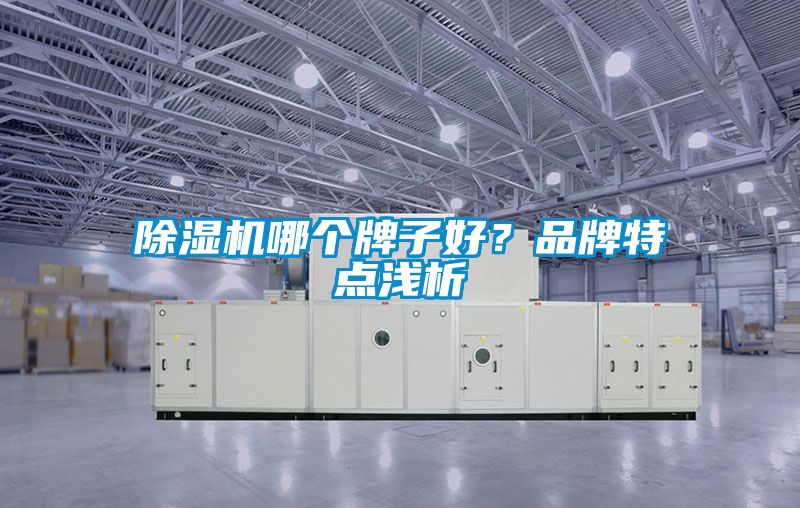 精品一区二区三区水蜜桃哪个牌子好？品牌特点浅析