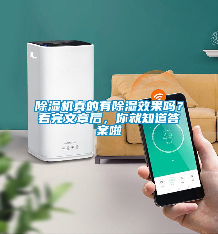 精品一区二区三区水蜜桃真的有除湿效果吗？看完文章后，你就知道答案啦