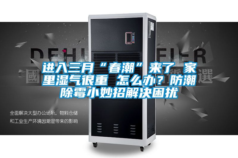 进入三月“春潮”来了 家里湿气很重 怎么办？防潮除霉小妙招解决困扰