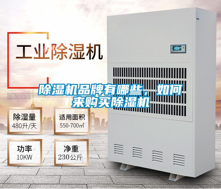 精品一区二区三区水蜜桃品牌有哪些，如何来购买精品一区二区三区水蜜桃