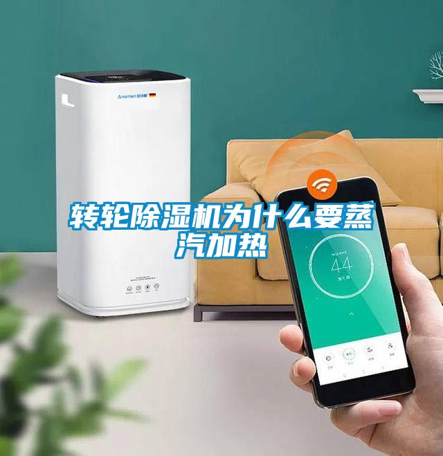 转轮精品一区二区三区水蜜桃为什么要蒸汽加热