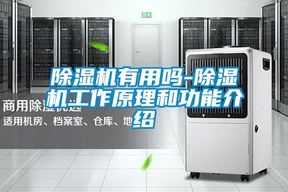 精品一区二区三区水蜜桃有用吗-精品一区二区三区水蜜桃工作原理和功能介绍