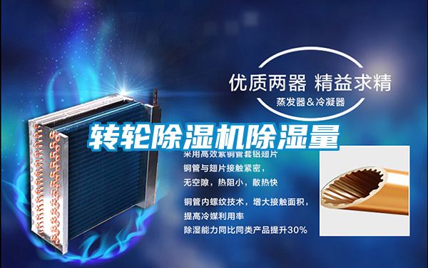 转轮精品一区二区三区水蜜桃除湿量