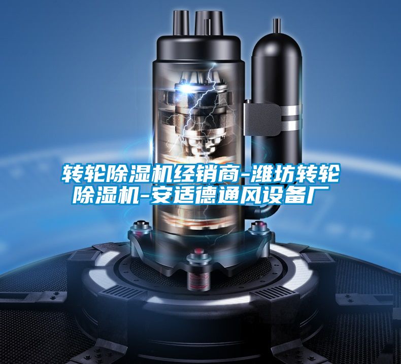 转轮精品一区二区三区水蜜桃经销商-潍坊转轮精品一区二区三区水蜜桃-安适德通风设备厂