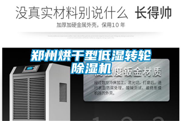 郑州烘干型低湿转轮精品一区二区三区水蜜桃