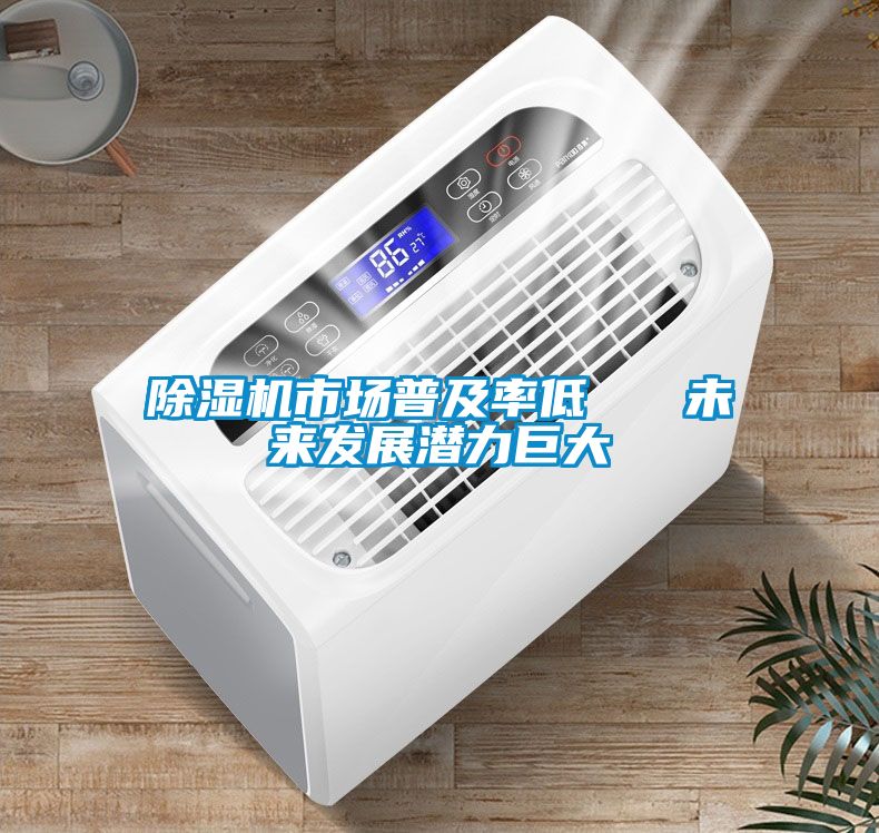 精品一区二区三区水蜜桃市场普及率低 未来发展潜力巨大