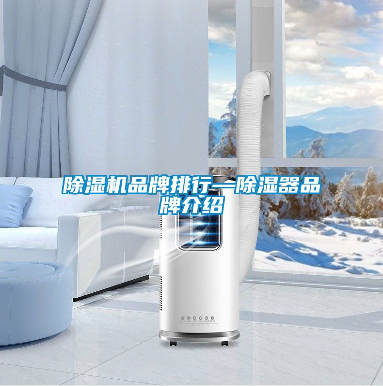 精品一区二区三区水蜜桃品牌排行—除湿器品牌介绍