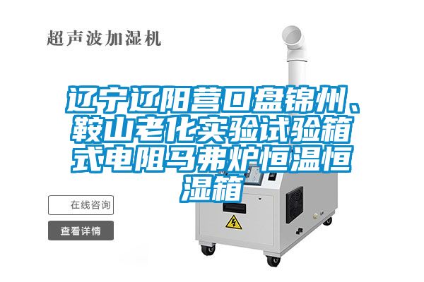 辽宁辽阳营口盘锦州、鞍山老化实验试验箱式电阻马弗炉恒温恒湿箱