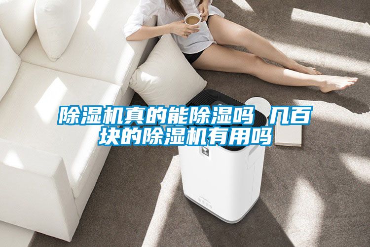 精品一区二区三区水蜜桃真的能除湿吗 几百块的精品一区二区三区水蜜桃有用吗