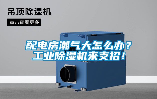 配电房潮气大怎么办？工业精品一区二区三区水蜜桃来支招！