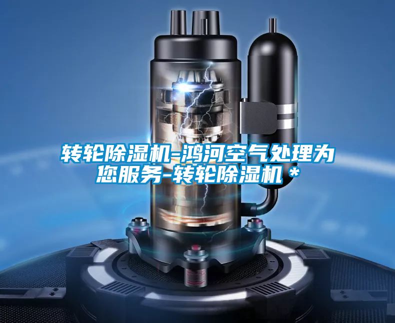 转轮精品一区二区三区水蜜桃-鸿河空气处理为您服务-转轮精品一区二区三区水蜜桃*