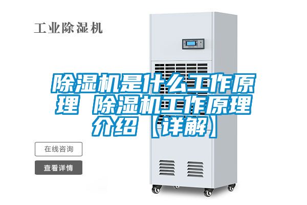 精品一区二区三区水蜜桃是什么工作原理 精品一区二区三区水蜜桃工作原理介绍【详解】