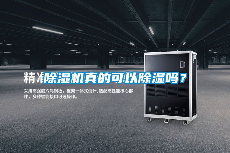 精品一区二区三区水蜜桃真的可以除湿吗？