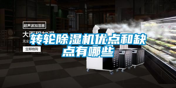 转轮精品一区二区三区水蜜桃优点和缺点有哪些