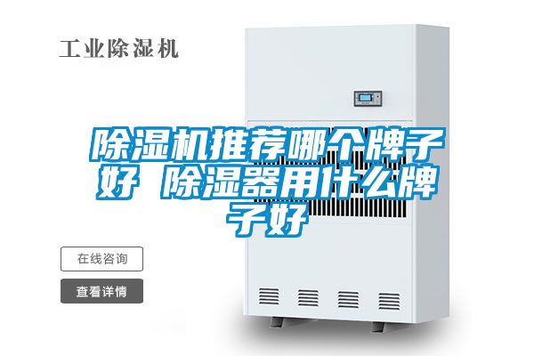 精品一区二区三区水蜜桃推荐哪个牌子好 除湿器用什么牌子好