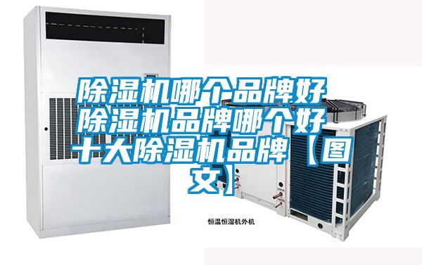 精品一区二区三区水蜜桃哪个品牌好 精品一区二区三区水蜜桃品牌哪个好 十大精品一区二区三区水蜜桃品牌【图文】