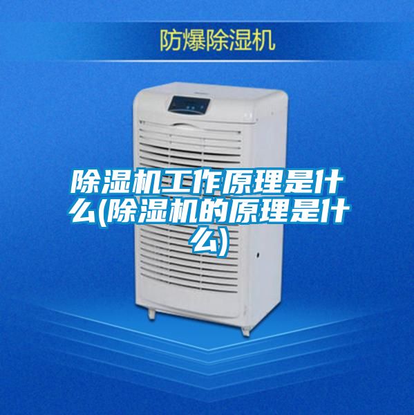 精品一区二区三区水蜜桃工作原理是什么(精品一区二区三区水蜜桃的原理是什么)