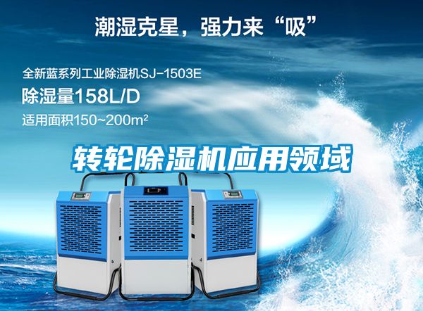 转轮精品一区二区三区水蜜桃应用领域