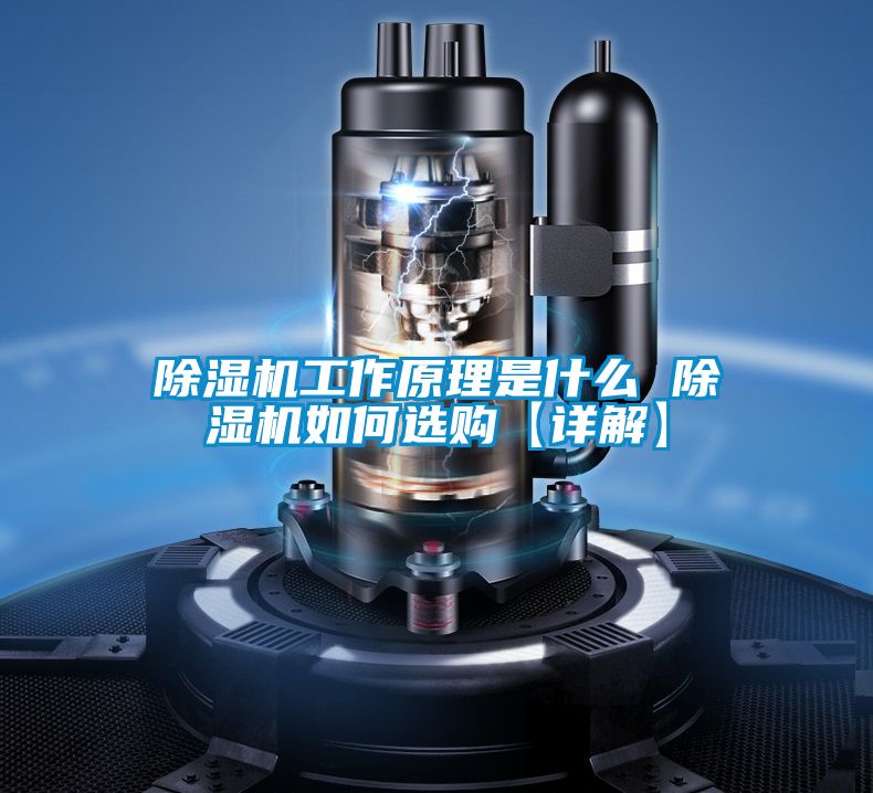 精品一区二区三区水蜜桃工作原理是什么 精品一区二区三区水蜜桃如何选购【详解】