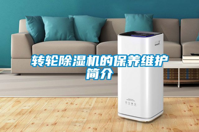 转轮精品一区二区三区水蜜桃的保养维护简介