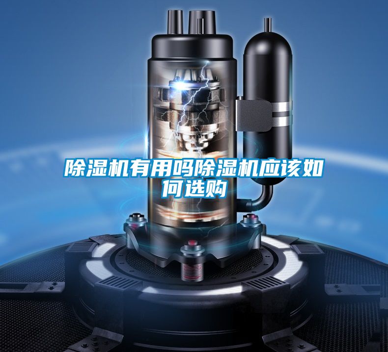 精品一区二区三区水蜜桃有用吗精品一区二区三区水蜜桃应该如何选购