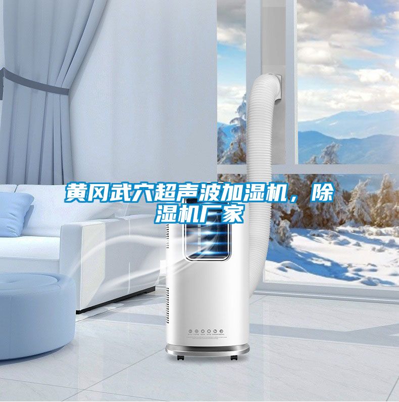 黄冈武穴超声波加湿机，精品一区二区三区水蜜桃厂家