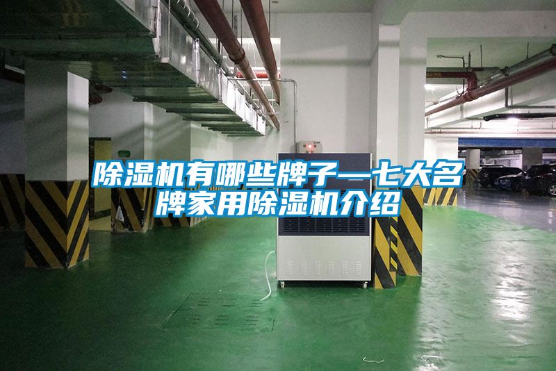 精品一区二区三区水蜜桃有哪些牌子—七大名牌家用精品一区二区三区水蜜桃介绍