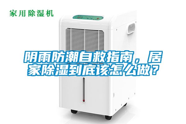 阴雨防潮自救指南，居家除湿到底该怎么做？