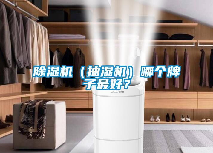 精品一区二区三区水蜜桃（抽湿机）哪个牌子最好？